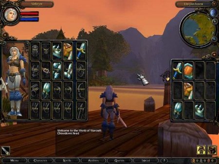 Игре World of Warcraft исполнилось 5 лет!